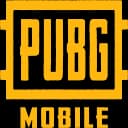 PUBG: New State