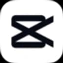 CapCut Pro