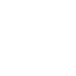 Shopee Pay E-Money